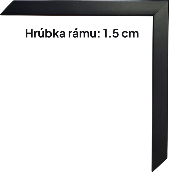 20230322_115754
