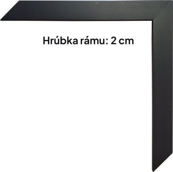 20230322_115804